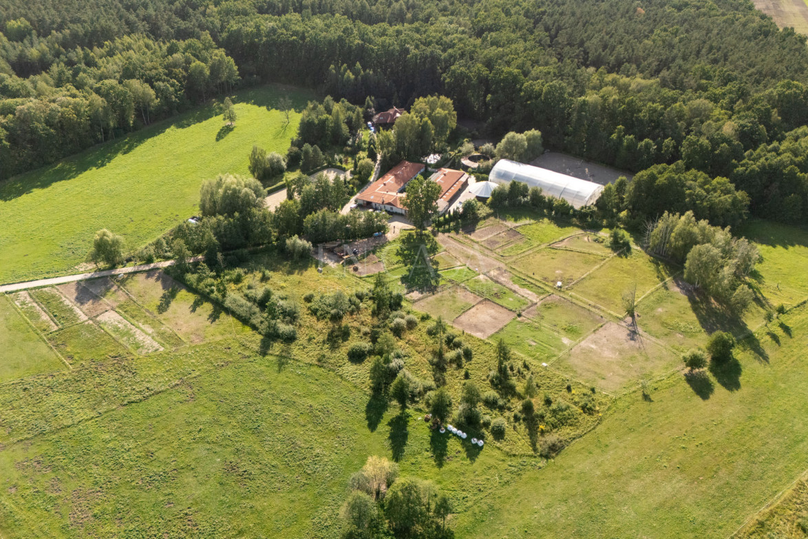Plot Sale Świętochów 3